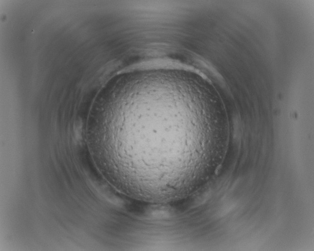 X0000074300073200609081927