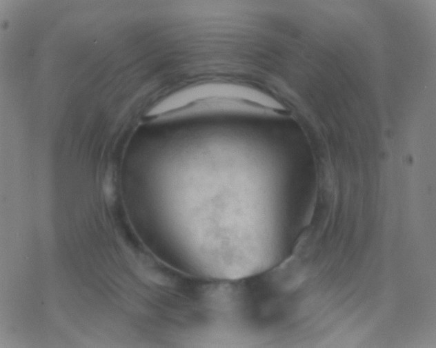 X0000074300074200609081927