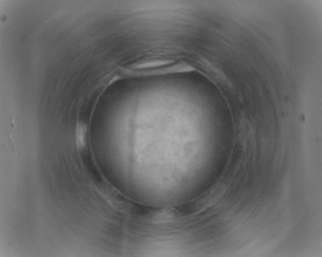 X0000074300075200609081927