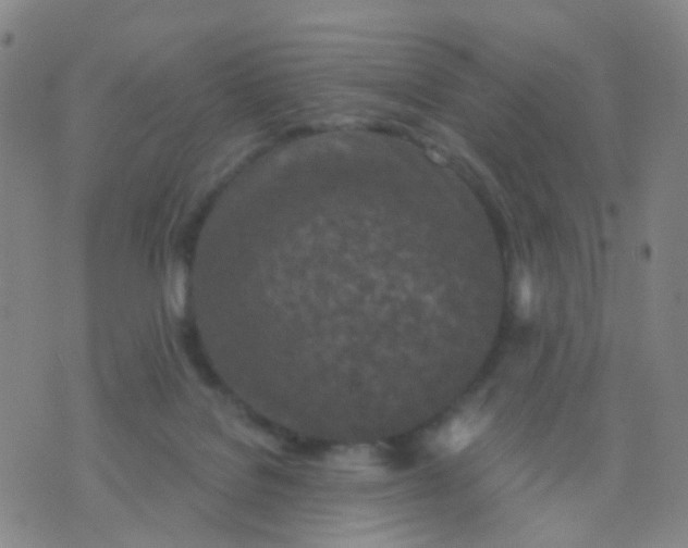 X0000074300076200609081928