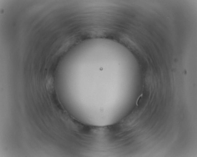 X0000074300079200609081928