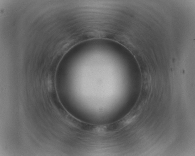 X0000074300080200609081928