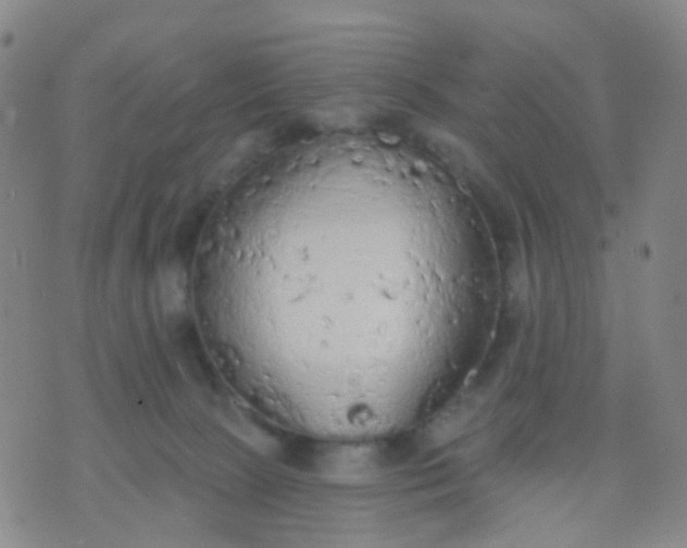 X0000074300081200609081928