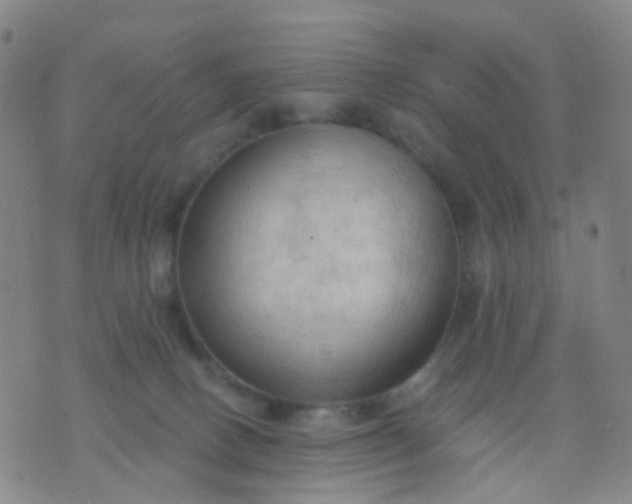 X0000074300082200609081928