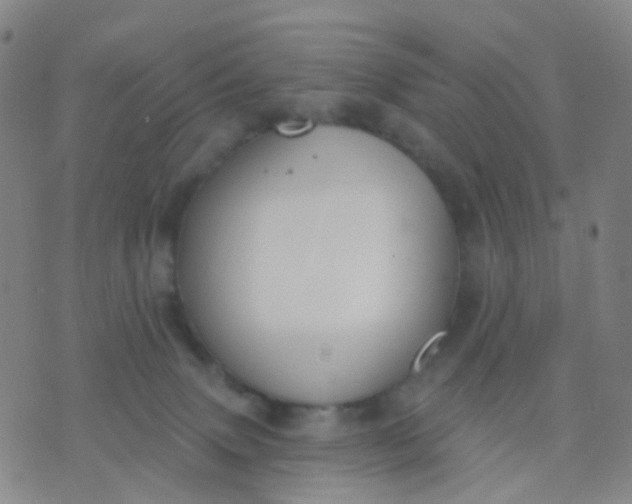 X0000074300083200609081928