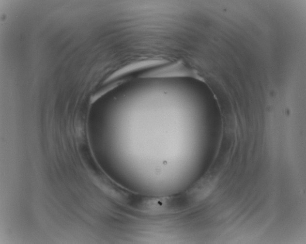 X0000074300084200609081928