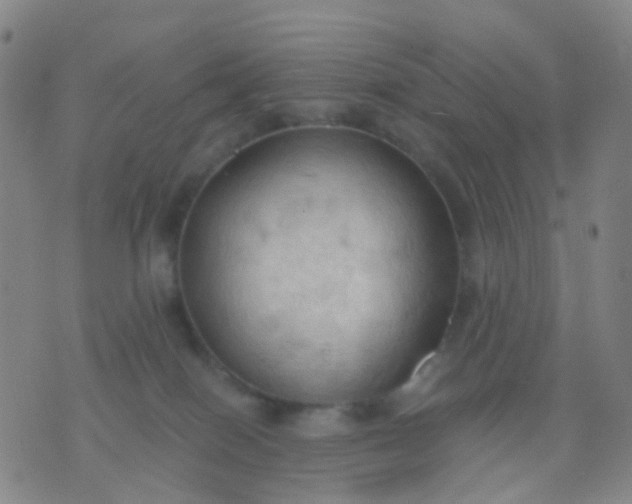 X0000074300086200609081928