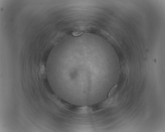 X0000074300087200609081928