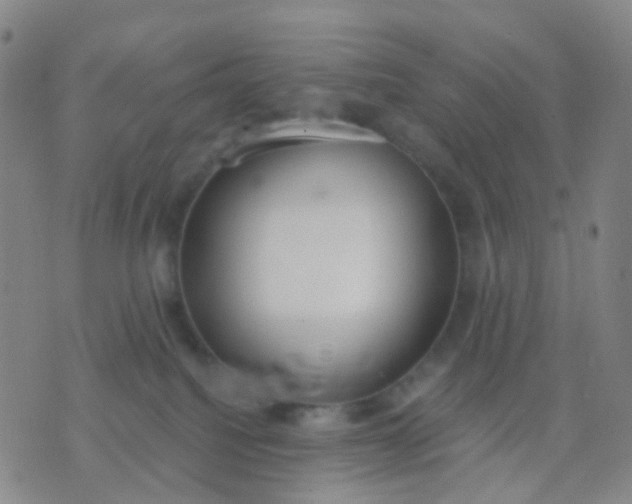 X0000074300088200609081928