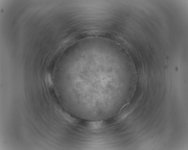 X0000074300089200609081928