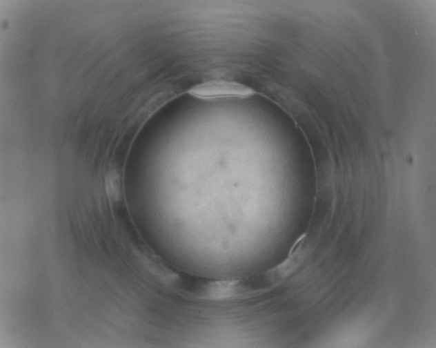 X0000074300090200609081928