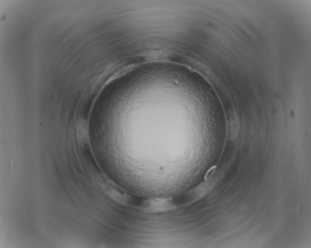 X0000074300093200609081928