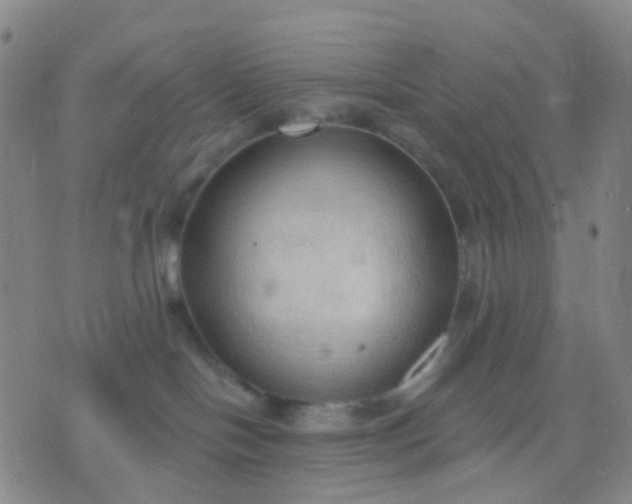 X0000074300094200609081928