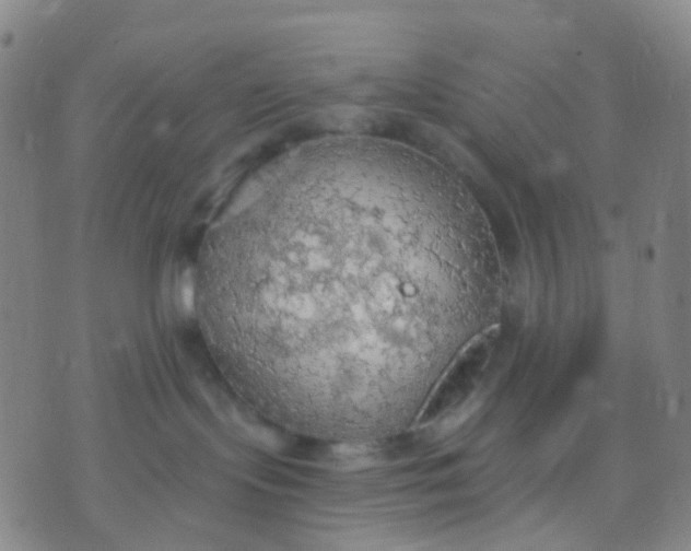 X0000074300095200609081928