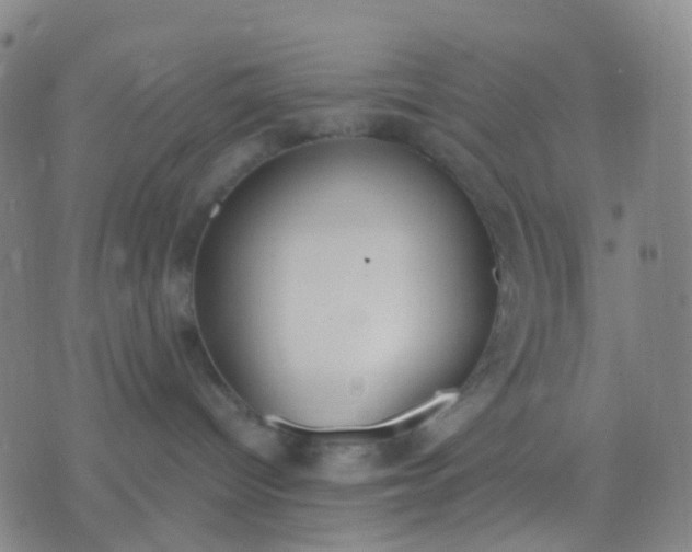 X0000074300096200609081928