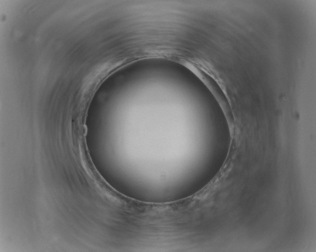 X0000074300097200609081927