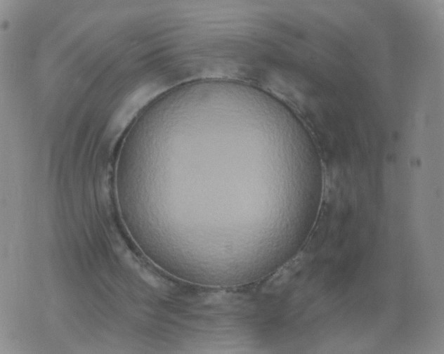 X0000074300098200609081927