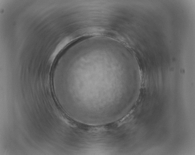 X0000074300099200609081927