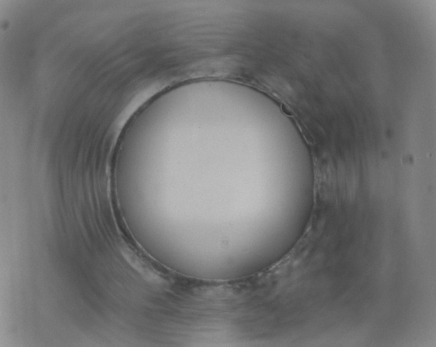 X0000074300100200609081927