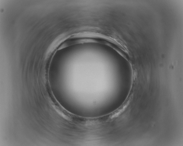 X0000074300101200609081927