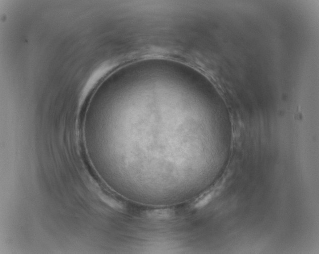 X0000074300102200609081927