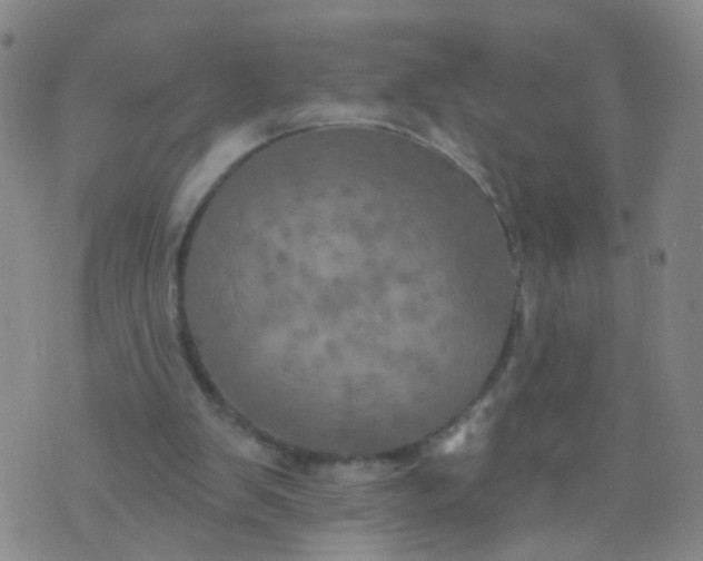 X0000074300103200609081927