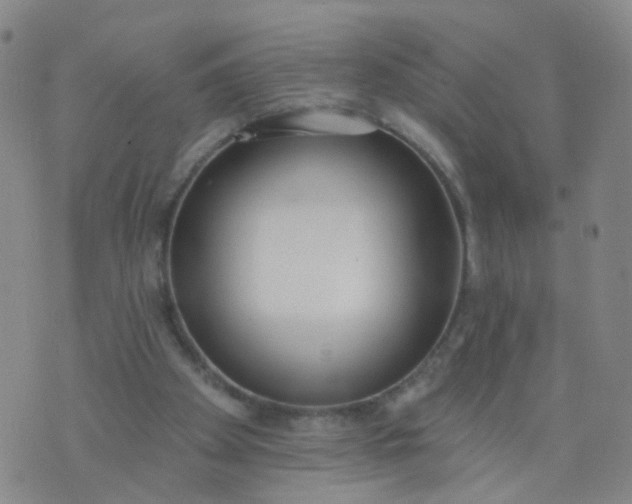 X0000074300105200609081927