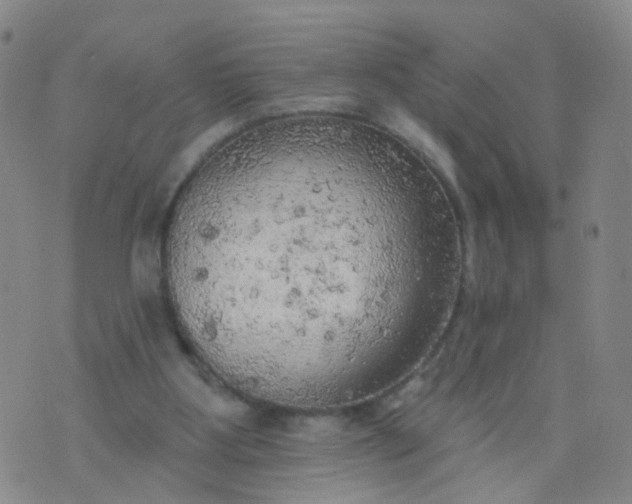 X0000074300107200609081927