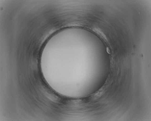 X0000074300108200609081927