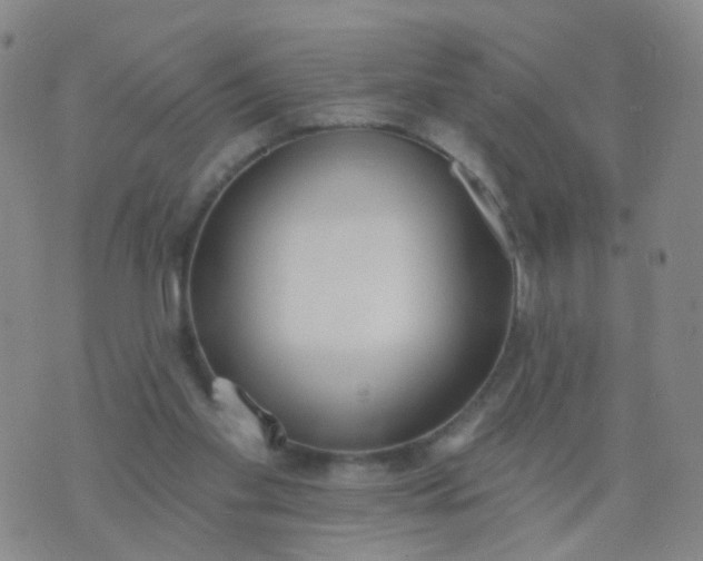 X0000074300109200609081927