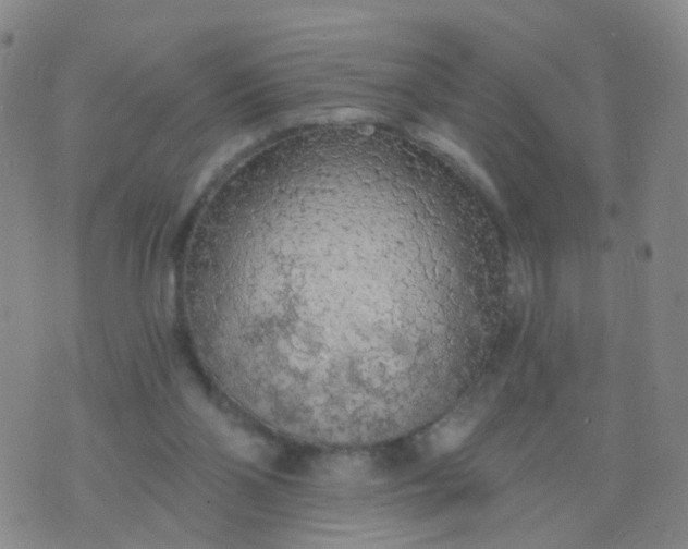 X0000074300110200609081927