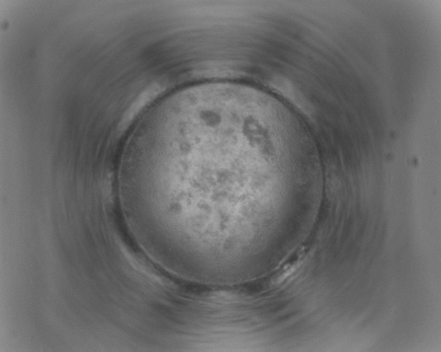 X0000074300111200609081927