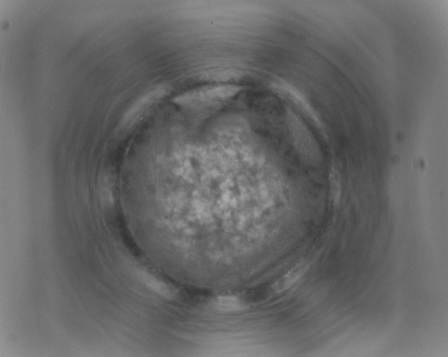 X0000074300114200609081927