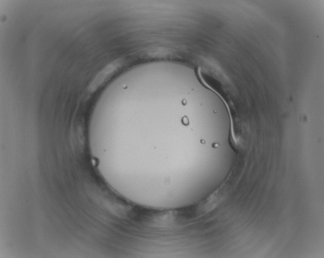 X0000074300116200609081927