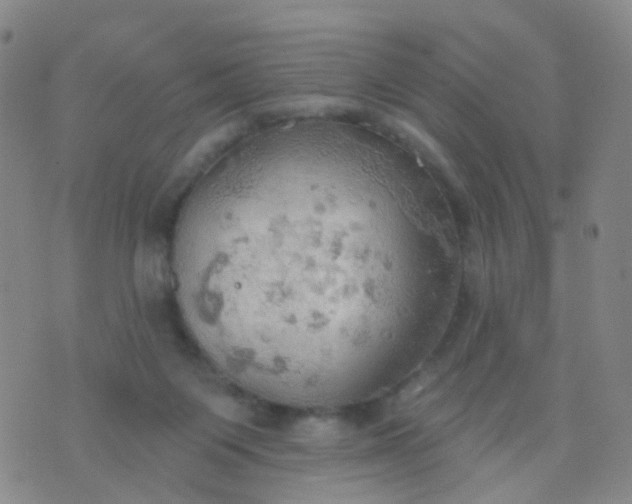 X0000074300119200609081927