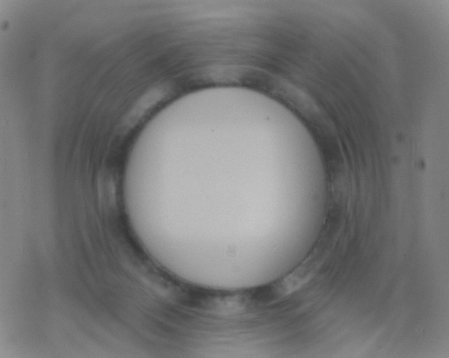 X0000074300120200609081927