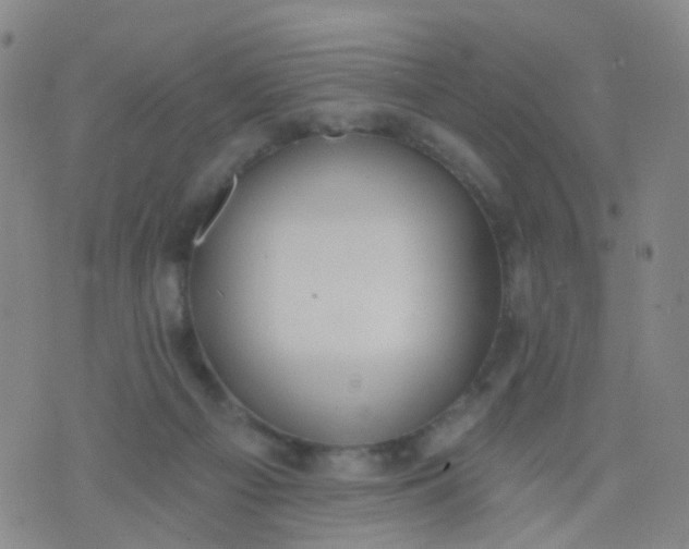 X0000074300121200609081927