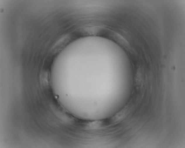 X0000074300122200609081927