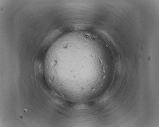 X0000074300123200609081927