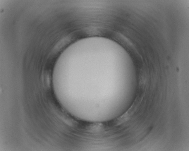 X0000074300124200609081927