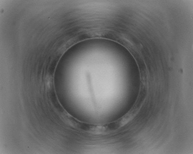 X0000074300125200609081927