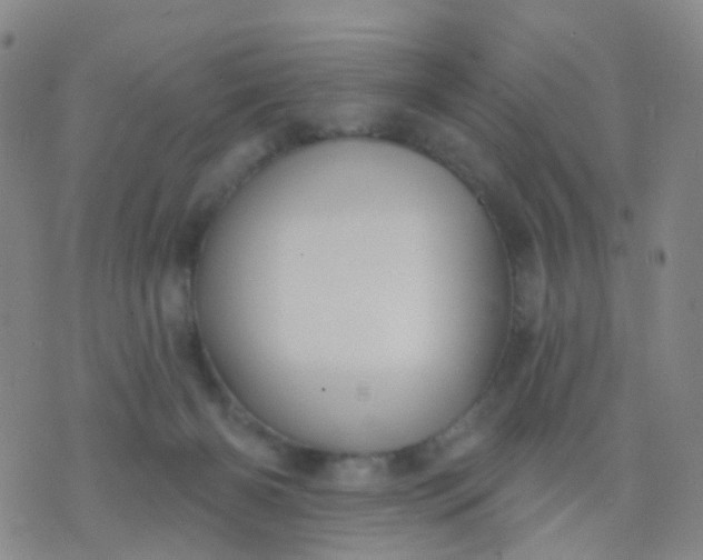 X0000074300126200609081927