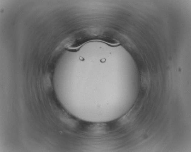 X0000074300128200609081927