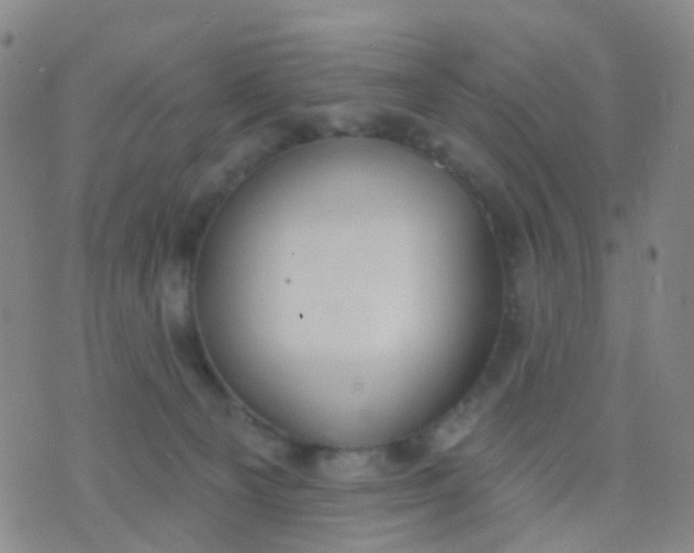 X0000074300129200609081927