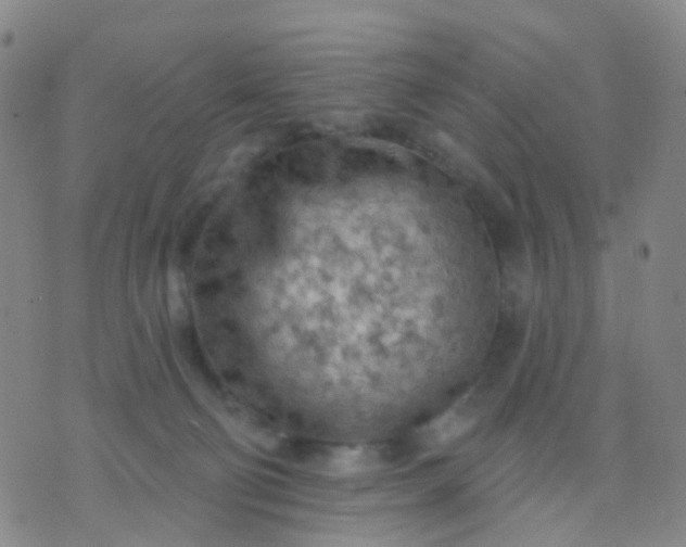 X0000074300130200609081927