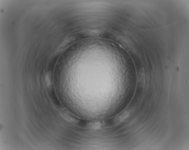 X0000074300131200609081927