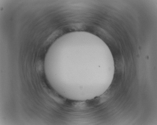 X0000074300132200609081926