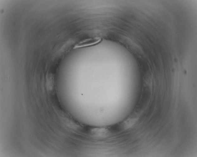 X0000074300133200609081926