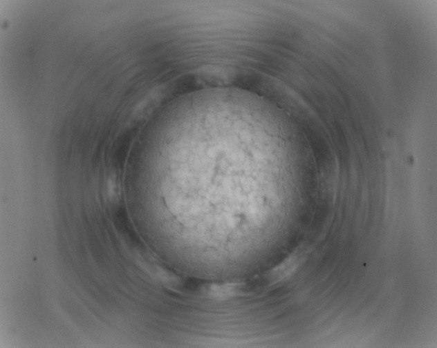 X0000074300134200609081926