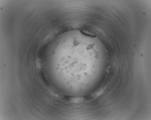 X0000074300135200609081926